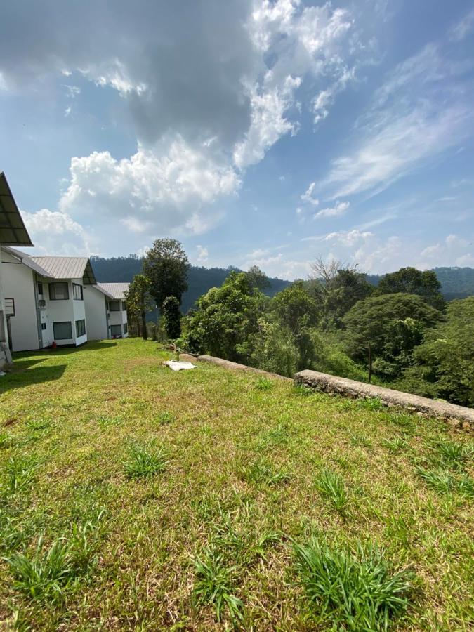 Mannoor Farms Mountain View Stays, Munnar Eksteriør bilde