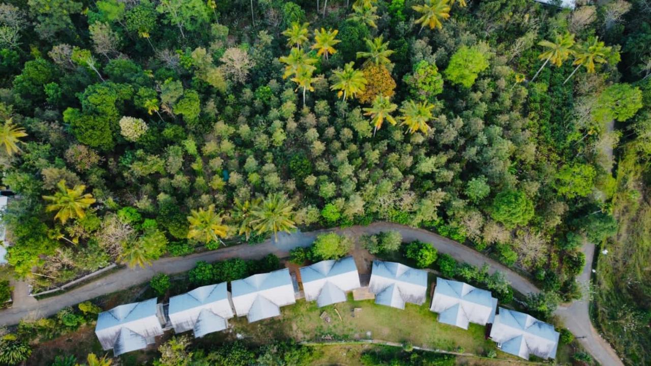 Mannoor Farms Mountain View Stays, Munnar Eksteriør bilde